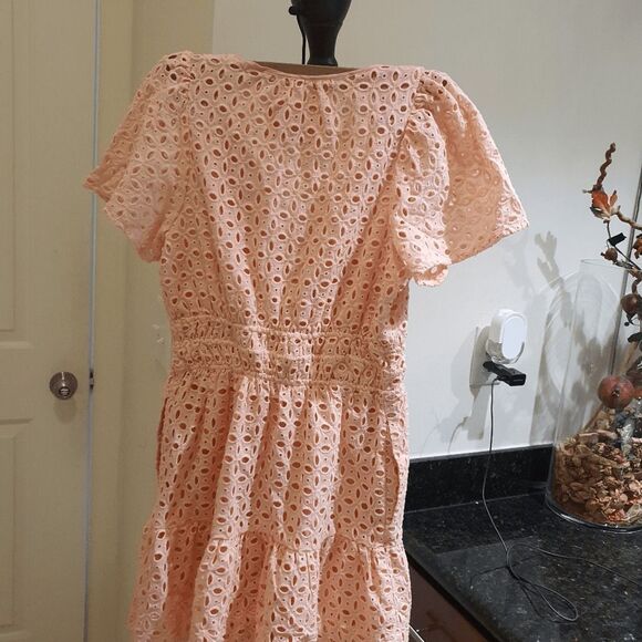 Anthropologie | The Somerset Mini Dress: Eyelet Edition in Pink - Size Small - Picture 5 of 10